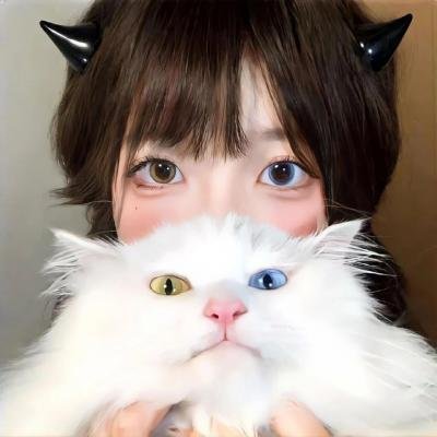 猫头鹰魔法社第三季
